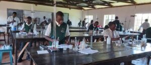 Learners during a practical science lesson in the laboratory 