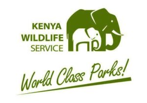 Kenya wildlife service image