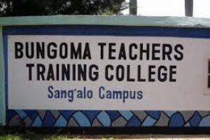 TTC Teacher Qualifications