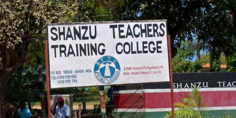 Big Blow As TSC Stops Employment Of P1 Teachers And Freezes Intake Into Colleges